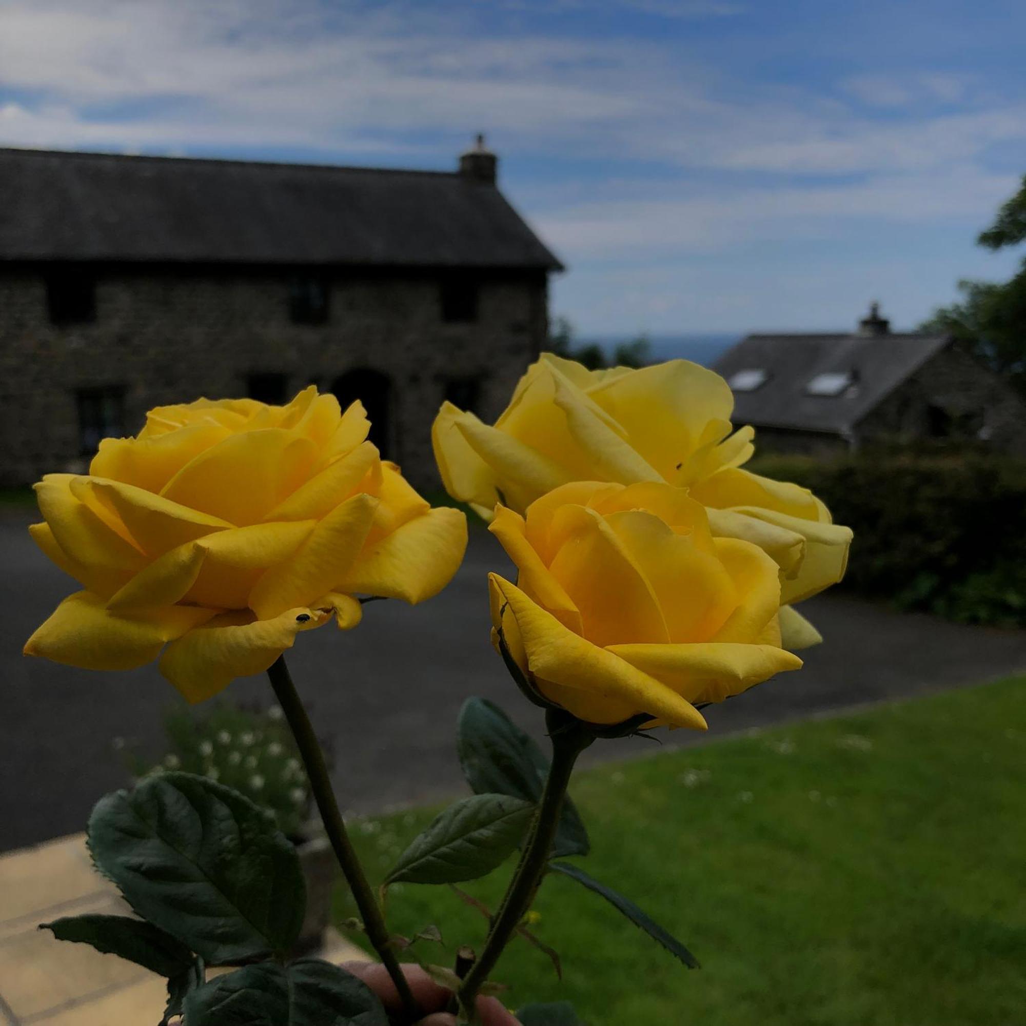 The Old Farmhouse B&B Dyffryn Ardudwy Exteriör bild