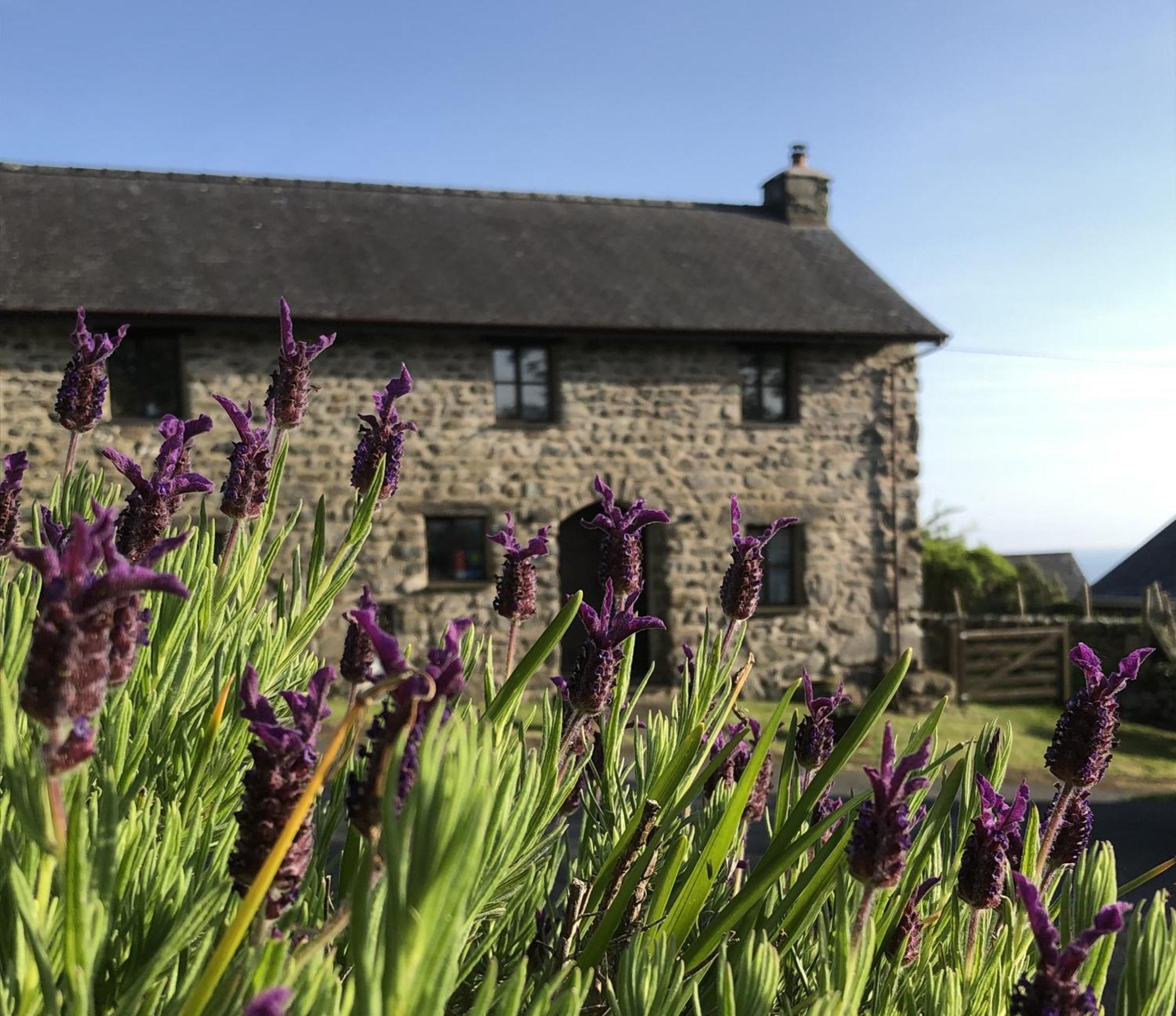 The Old Farmhouse B&B Dyffryn Ardudwy Exteriör bild